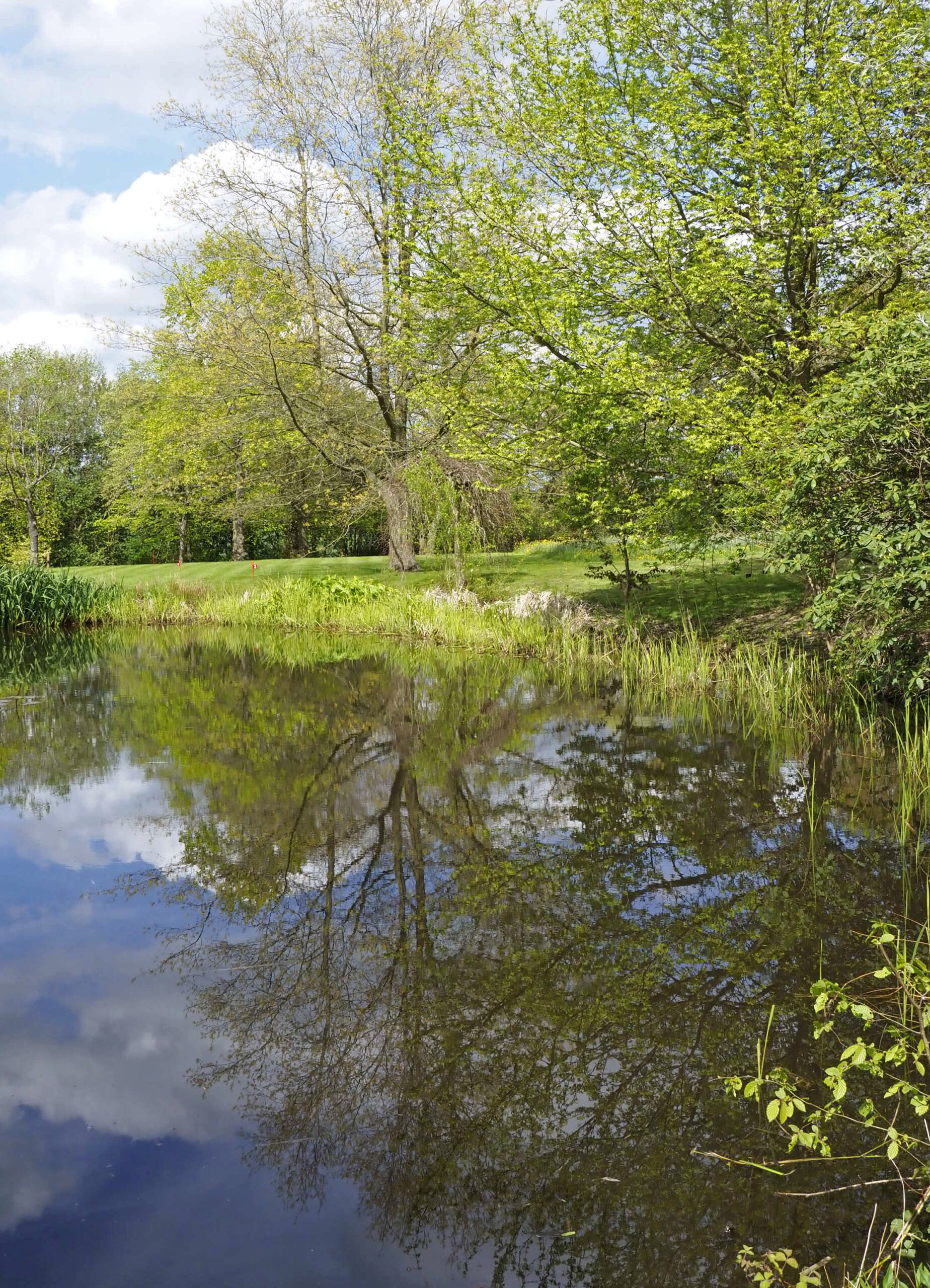 One of the spring fed lakes in the Beale Arboretum